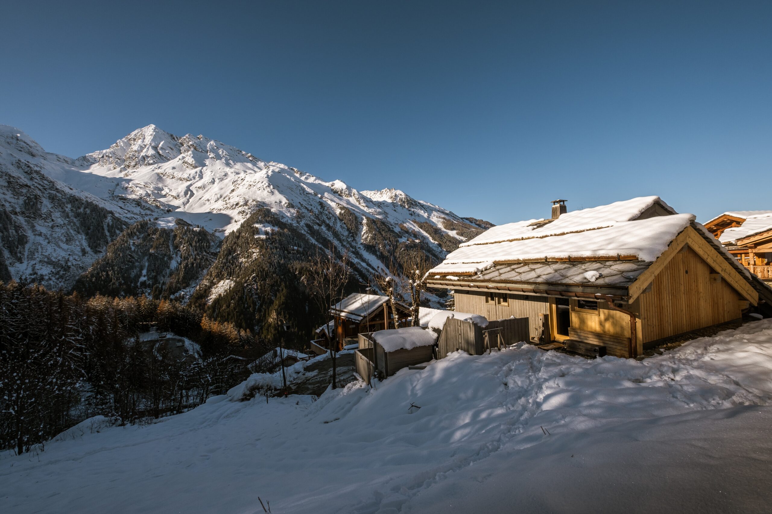 french-alps-experience